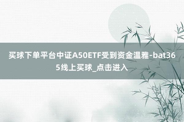 买球下单平台中证A50ETF受到资金温雅-bat365线上买球_点击进入