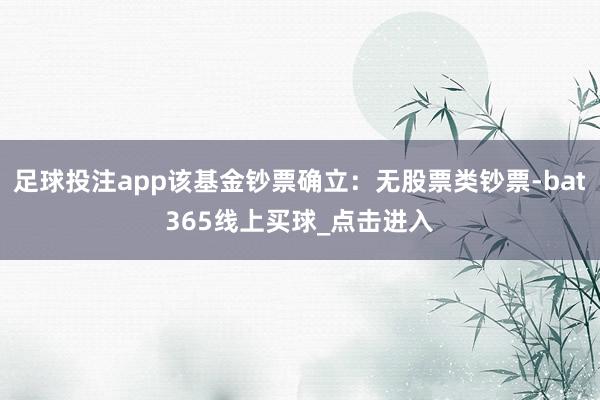 足球投注app该基金钞票确立：无股票类钞票-bat365线上买球_点击进入