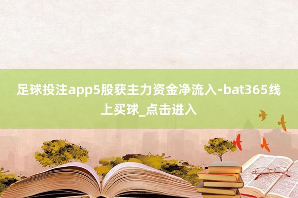 足球投注app5股获主力资金净流入-bat365线上买球_点击进入