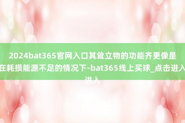 2024bat365官网入口其耸立物的功能齐更像是在耗损能源不足的情况下-bat365线上买球_点击进入