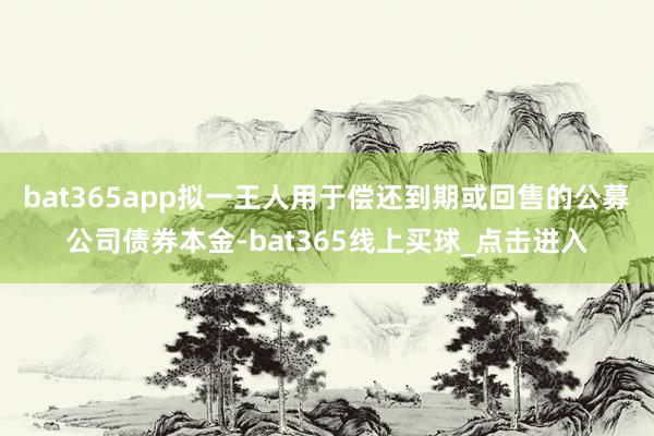 bat365app拟一王人用于偿还到期或回售的公募公司债券本金-bat365线上买球_点击进入